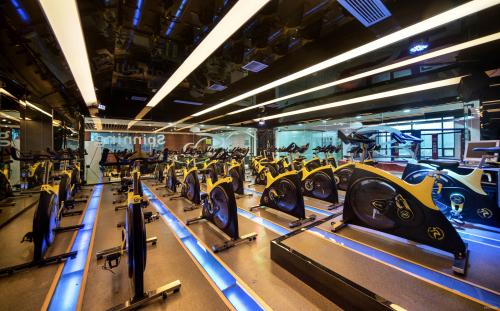 健身會所地面選用什么材料好?